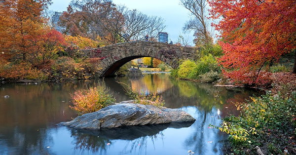 Lincoln Park - Bill Jarvis Bird Sanctuary